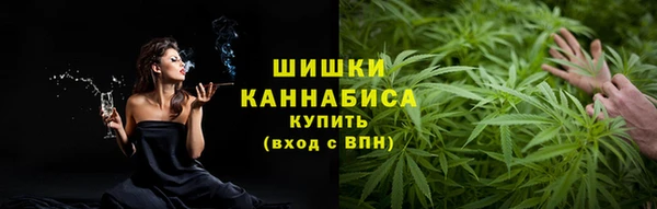 ГАЛЛЮЦИНОГЕННЫЕ ГРИБЫ Белокуриха