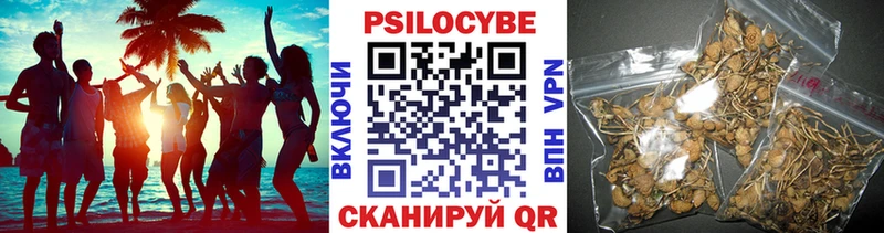 Псилоцибиновые грибы Psilocybine cubensis  Вичуга 
